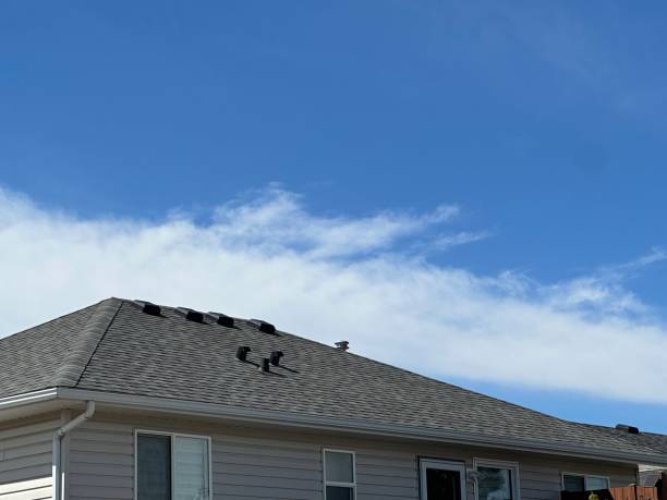 Best Roof Maintenance and Cleaning  in Desnso, CA